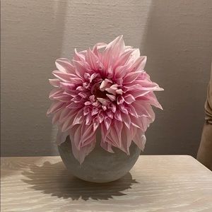 Meet your Posher, Trove Season